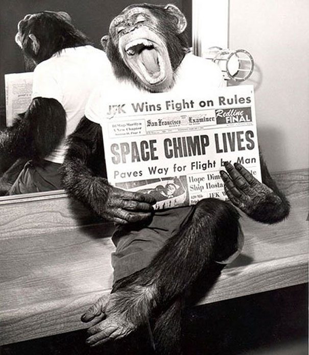 A space chimp posing to camera after a successful mission to space, 1961 