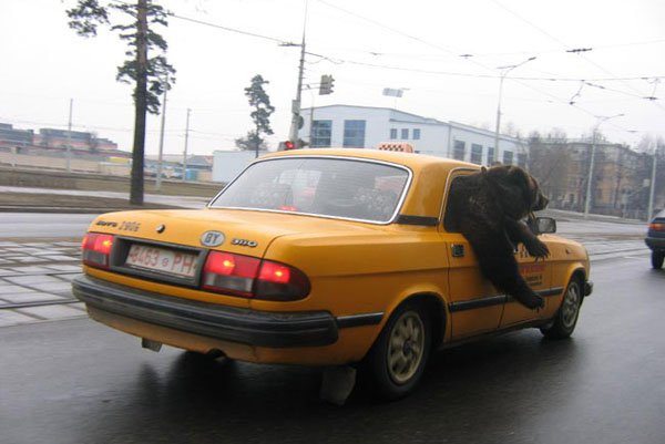 things-that-happen-only-in-russia-10