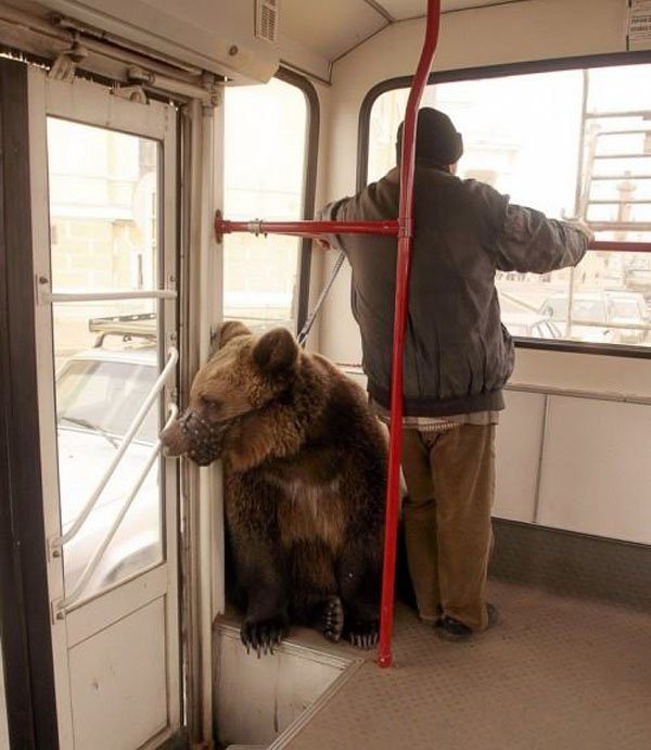 things-that-happen-only-in-russia-11