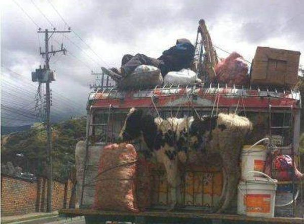 things-that-happen-only-in-russia-20