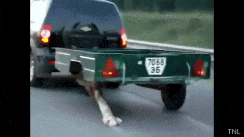 things-that-happen-only-in-russia-23