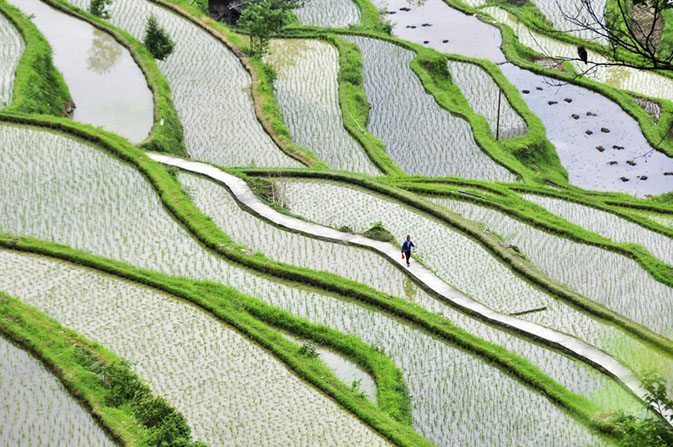 most-powerful-picture-6