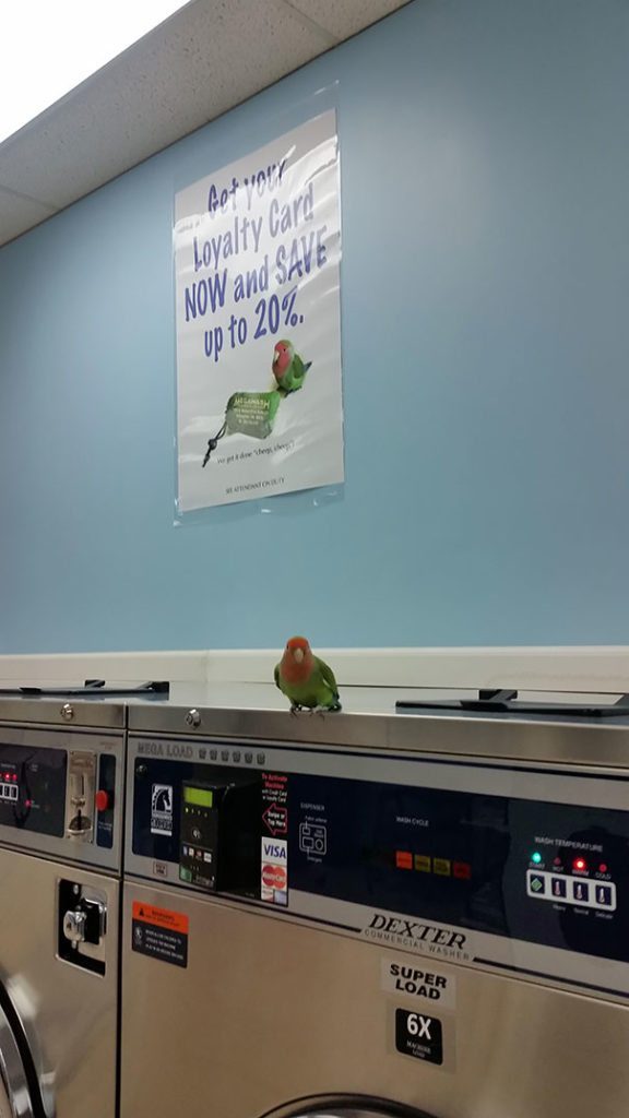 taken-at-the-right-time-16