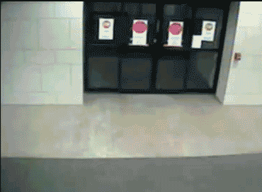 epic-fail-gifs-24