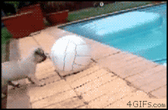 epic-fail-gifs-4