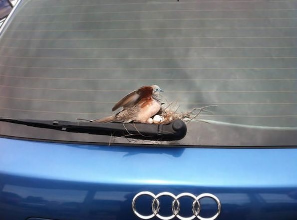 power-of-parental-love-16