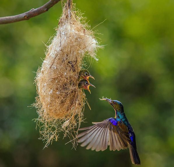 power-of-parental-love-19