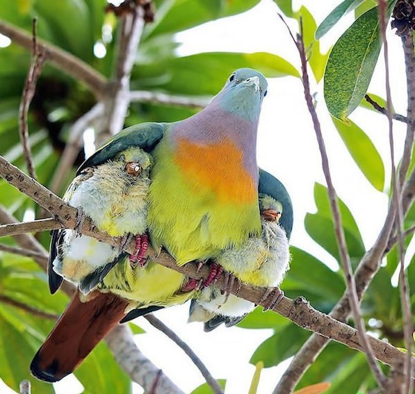 power-of-parental-love-4