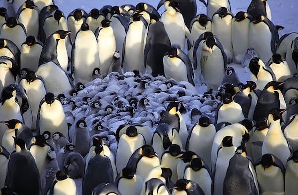 power-of-parental-love-8