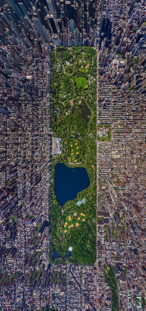 central-park-nyc