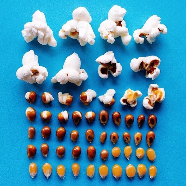 oddly-appealing-image-2