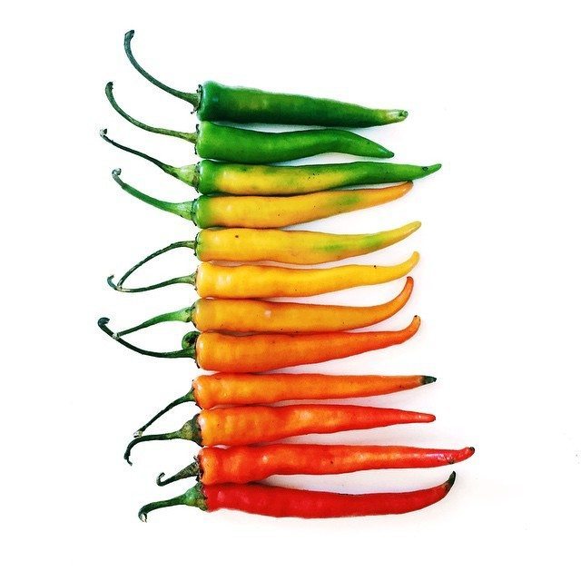 oddly-appealing-image-5