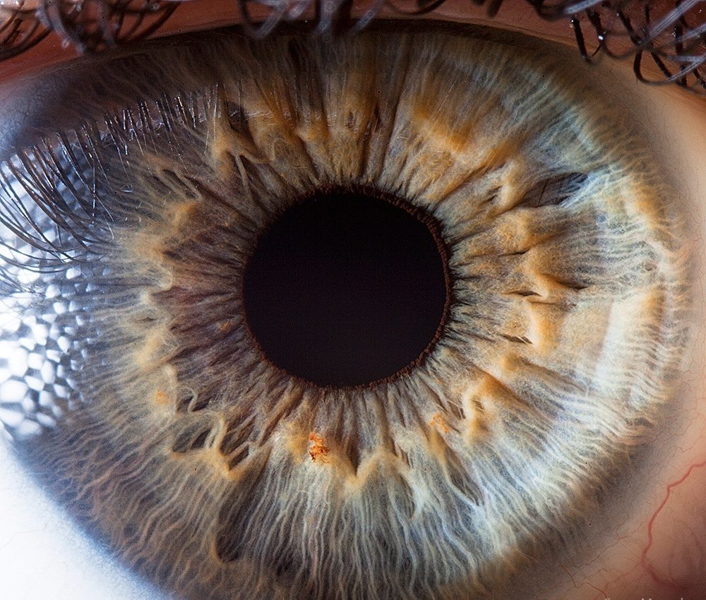 amazing-photographs-3