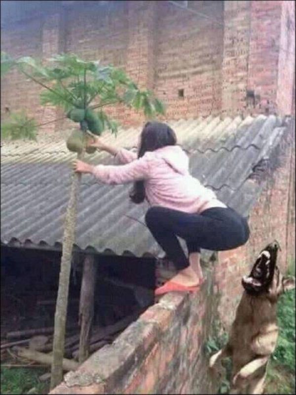 it-escalated-quickly-5