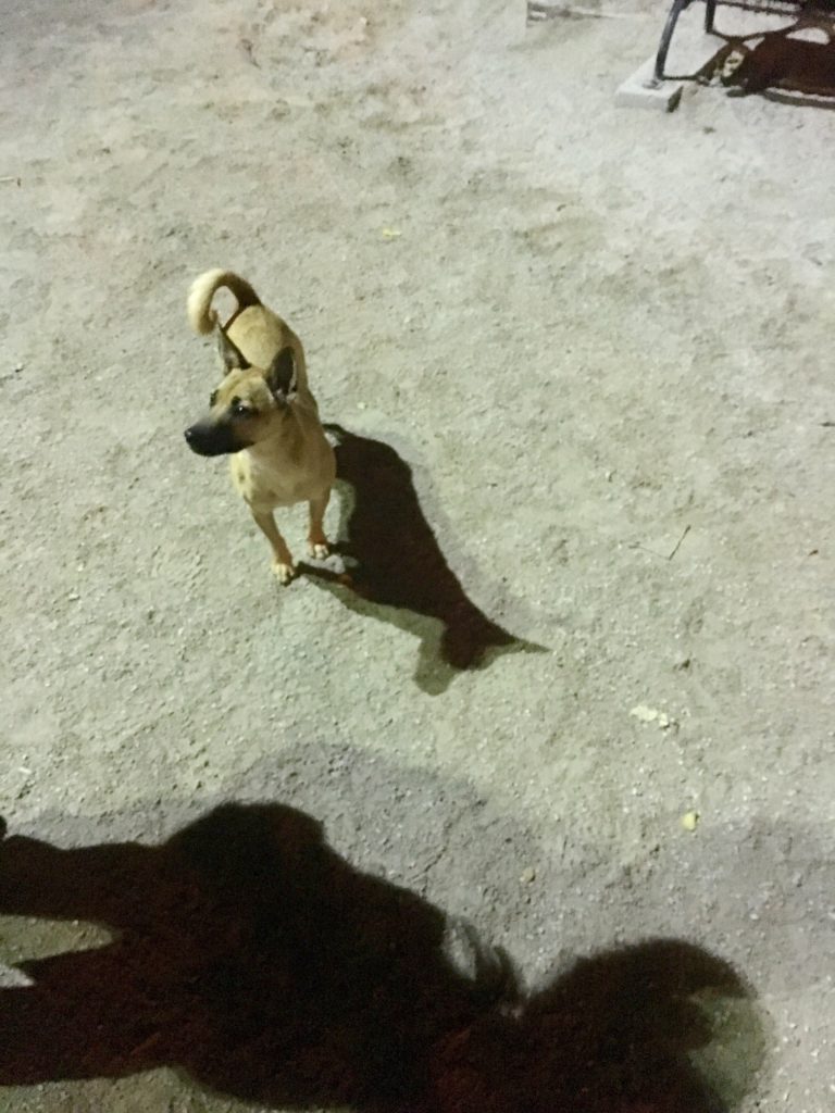 misleading-shadow-13