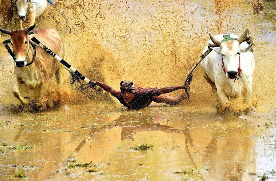 national-geographic-travel-photographer-of-the-year-contest-2016-7-572c455fdf7be__880