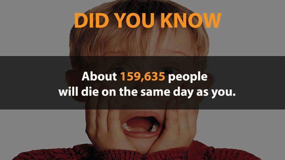crazy-facts-6