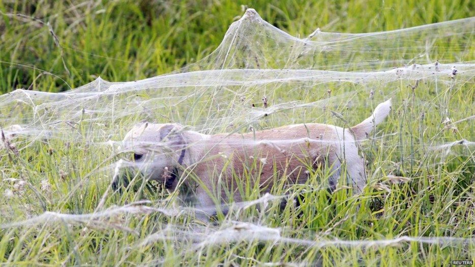 incredible-nature-16