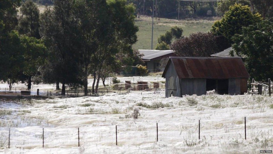 incredible-nature-17