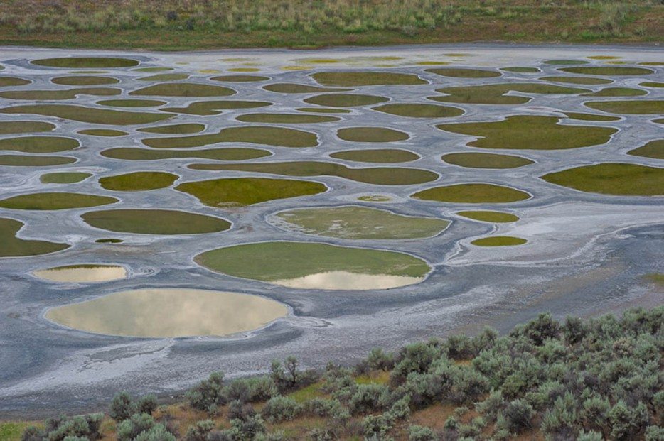 incredible-nature-25