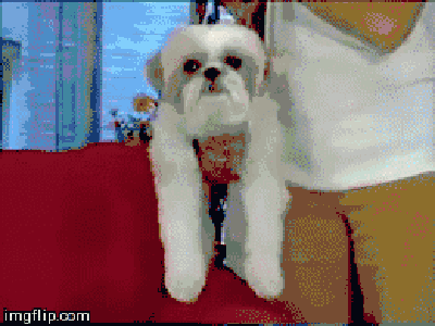 infomercial-situations-5