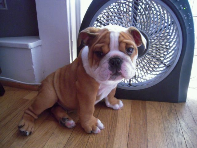 it's-hot-outside-when-11