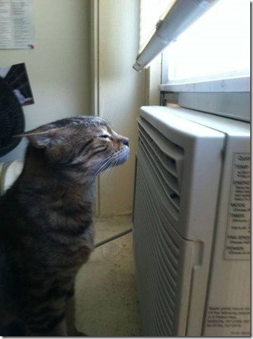 it's-hot-outside-when-18