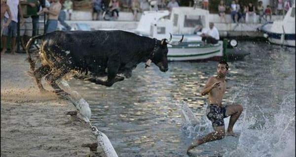 fearsome-situation-24