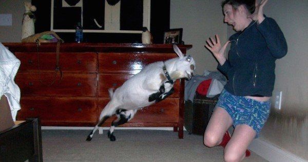 fearsome-situation-5