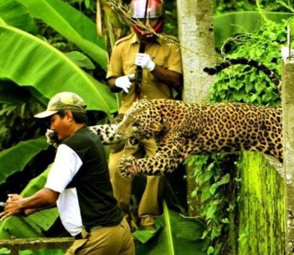 photo-disaster-strikes-21