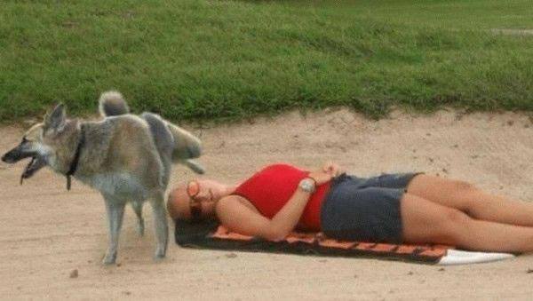 photo-disaster-strikes-8