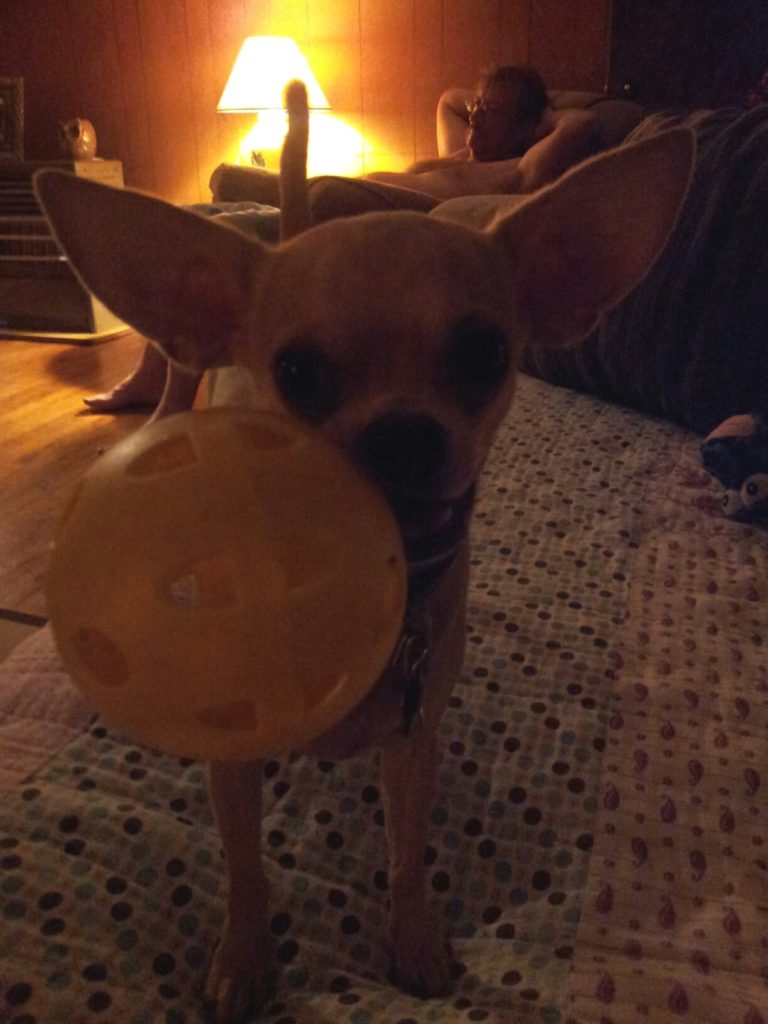 photo-forgot-to-check-10