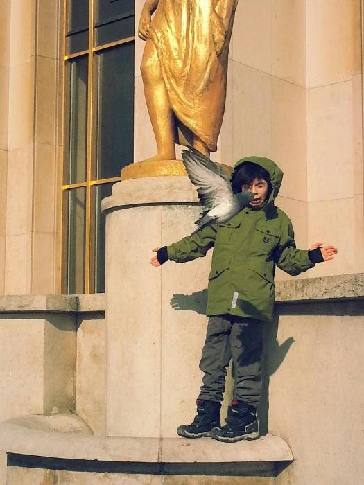 push-the-button-picture-19