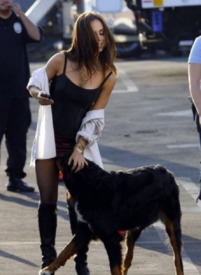 push-the-button-picture-7