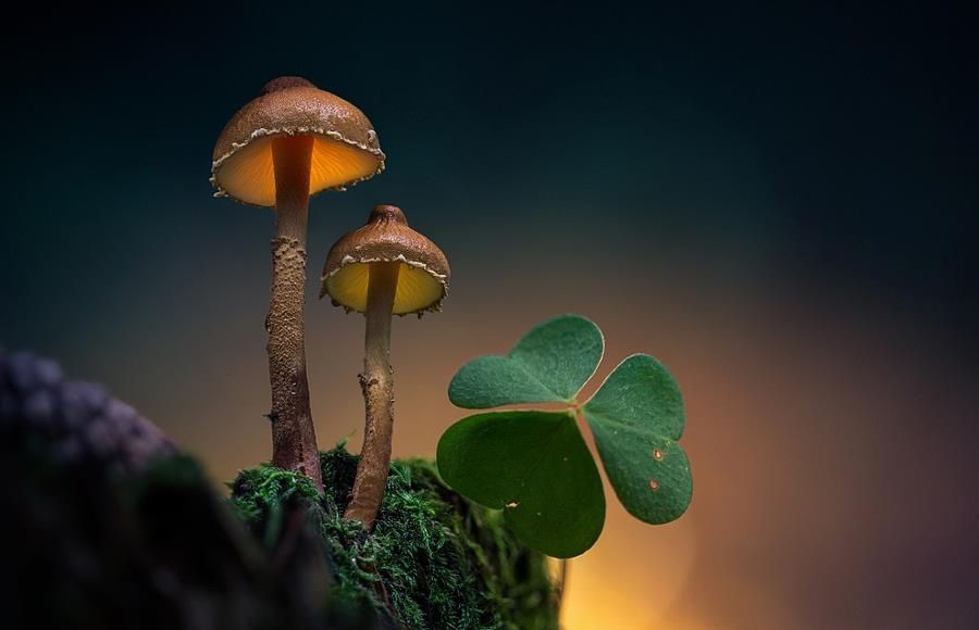 straight-to-yout-heart-photo-11