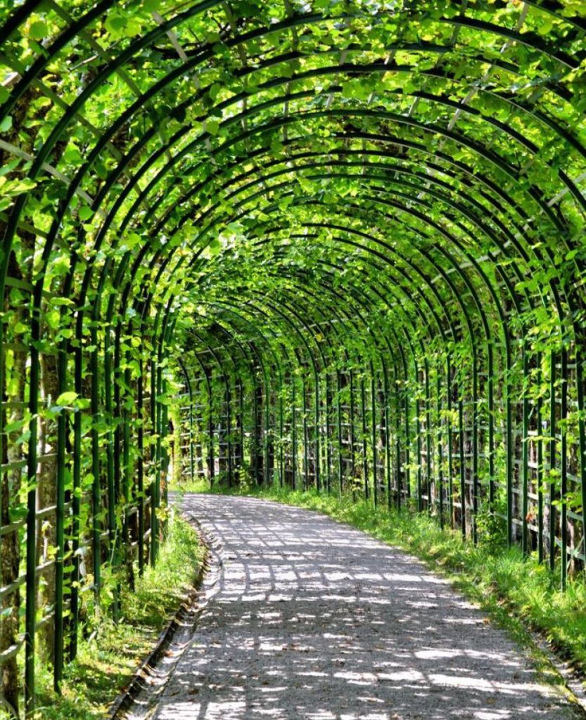 straight-to-yout-heart-photo-6