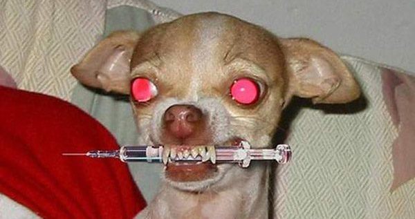weird-internet-6