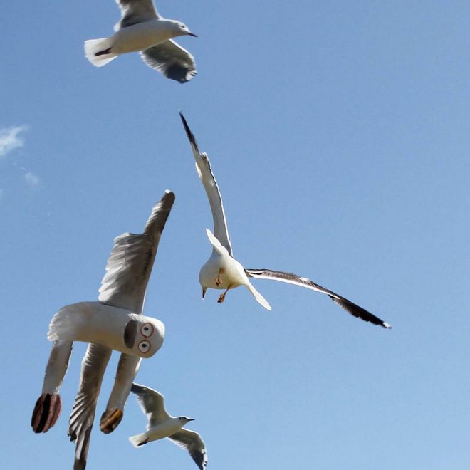 drawings-become-reality-12