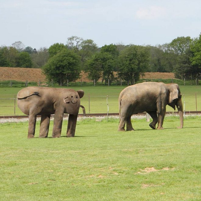 drawings-become-reality-6