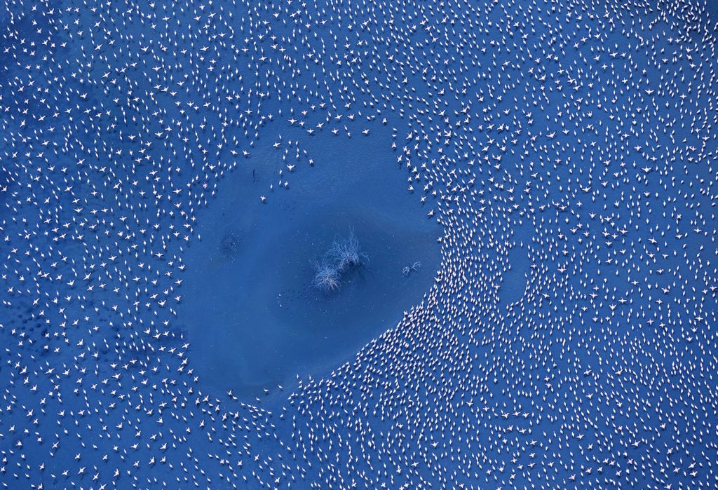 national-geographic-photo-contest-2016-10