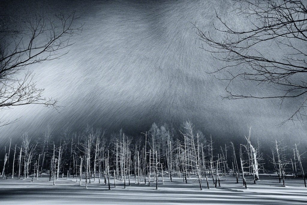 national-geographic-photo-contest-2016-20