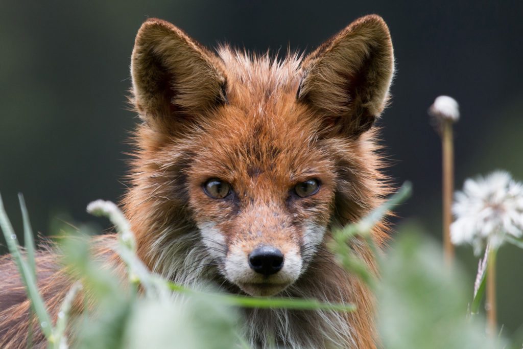 national-geographic-photo-contest-2016-25