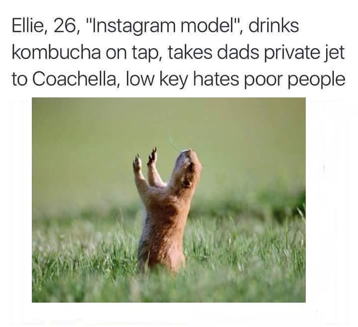 animals-on-tinder-10