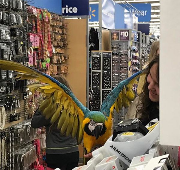 people-of-walmart-19