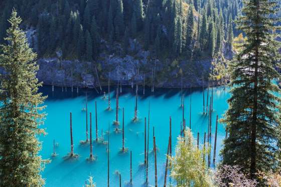 Underwater Forest - Lake Kaindy, Kazakhstan Part of the 1,300 ft (400 m) long Lake Kaindy in Kazakhstan’s portion of the Tian Shan Mountains, the forest is located 80 miles (129 km) from the city of Almaty. It is actually a sunken forest that was formed after an enormous limestone landslide due to an earthquake in 1911.