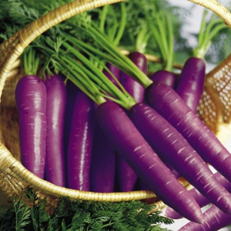 Purple Carrots (Grown in Britain and Central Asia) The purple colour of these carrots is actually due to anthocyanin pigments. The history of these carrots can be traced back to Rome and Central Asia, where they were grown as early as the 10th century. Purple carrots, still orange on the inside, were sold in British stores starting in 2002.