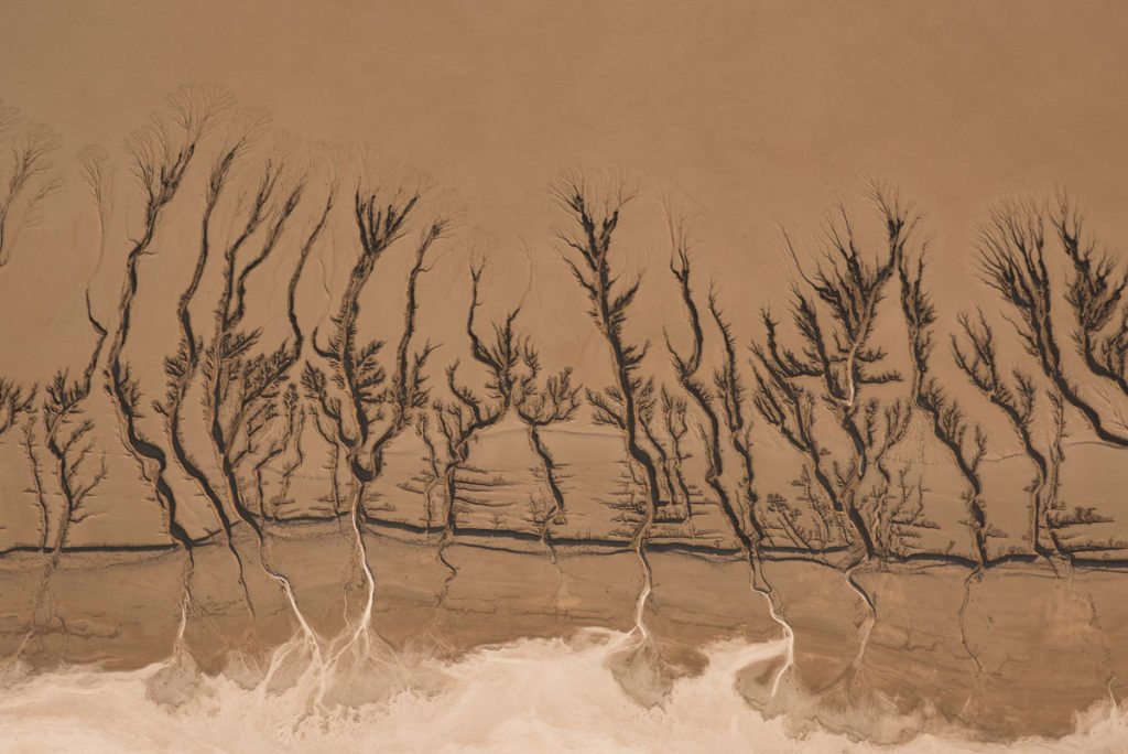 smithsonian-photography-contest-11