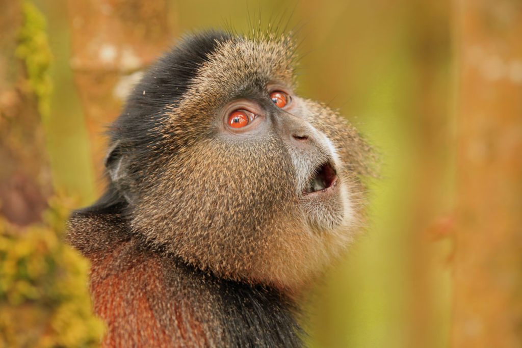 smithsonian-photography-contest-13