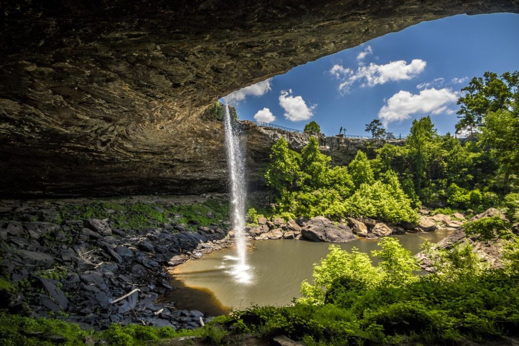 smithsonian-photography-contest-17