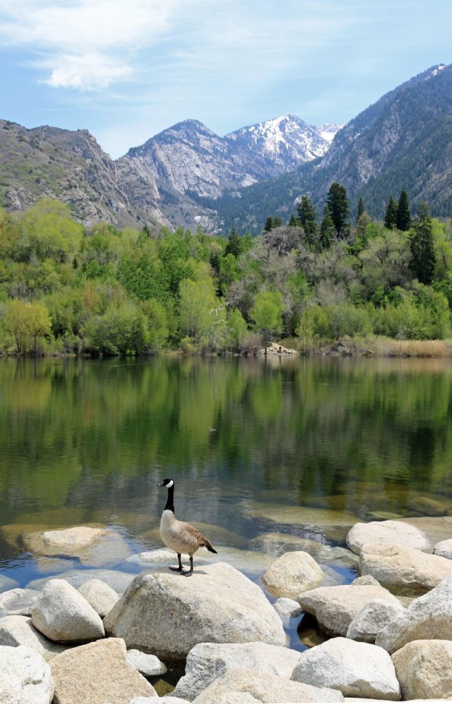 smithsonian-photography-contest-18